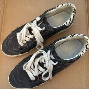 Dolce Vita Nino Sneakers in Charcoal Snake
